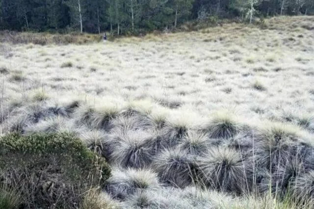 Frente frio continúa sintiéndose en RD