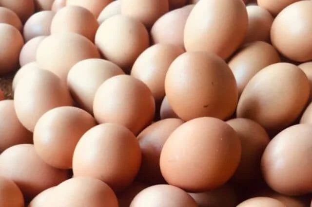 Gobierno levanta restricción de exportación de huevos