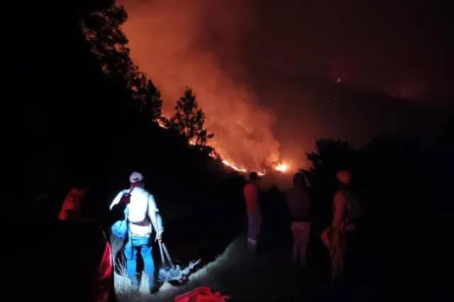 Autoridades buscan controlar incendio forestal en Valle Nuevo