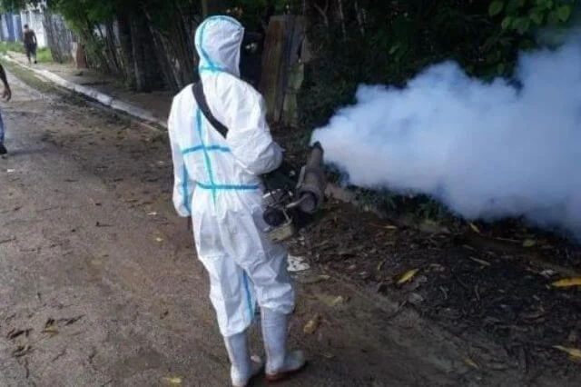 Eliminar criaderos de mosquitos, clave para que los riesgos de chikungunya sean bajos