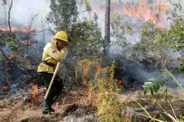 Incendios forestales deterioran calidad del aire en El Caribe