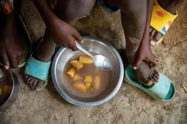 Casi 5 millones de haitianos sufren hambre, según ONG Plan International