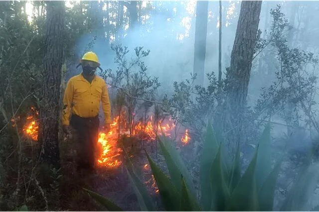 Bomberos forestales extinguen 11 incendios en diferentes puntos del país