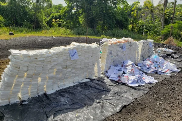 Incineran más de una tonelada de drogas