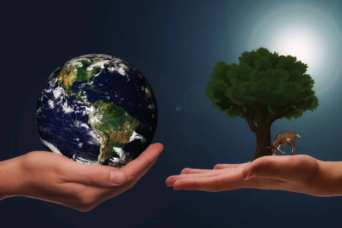 Hoy se conmemora el Día Mundial del Medio Ambiente