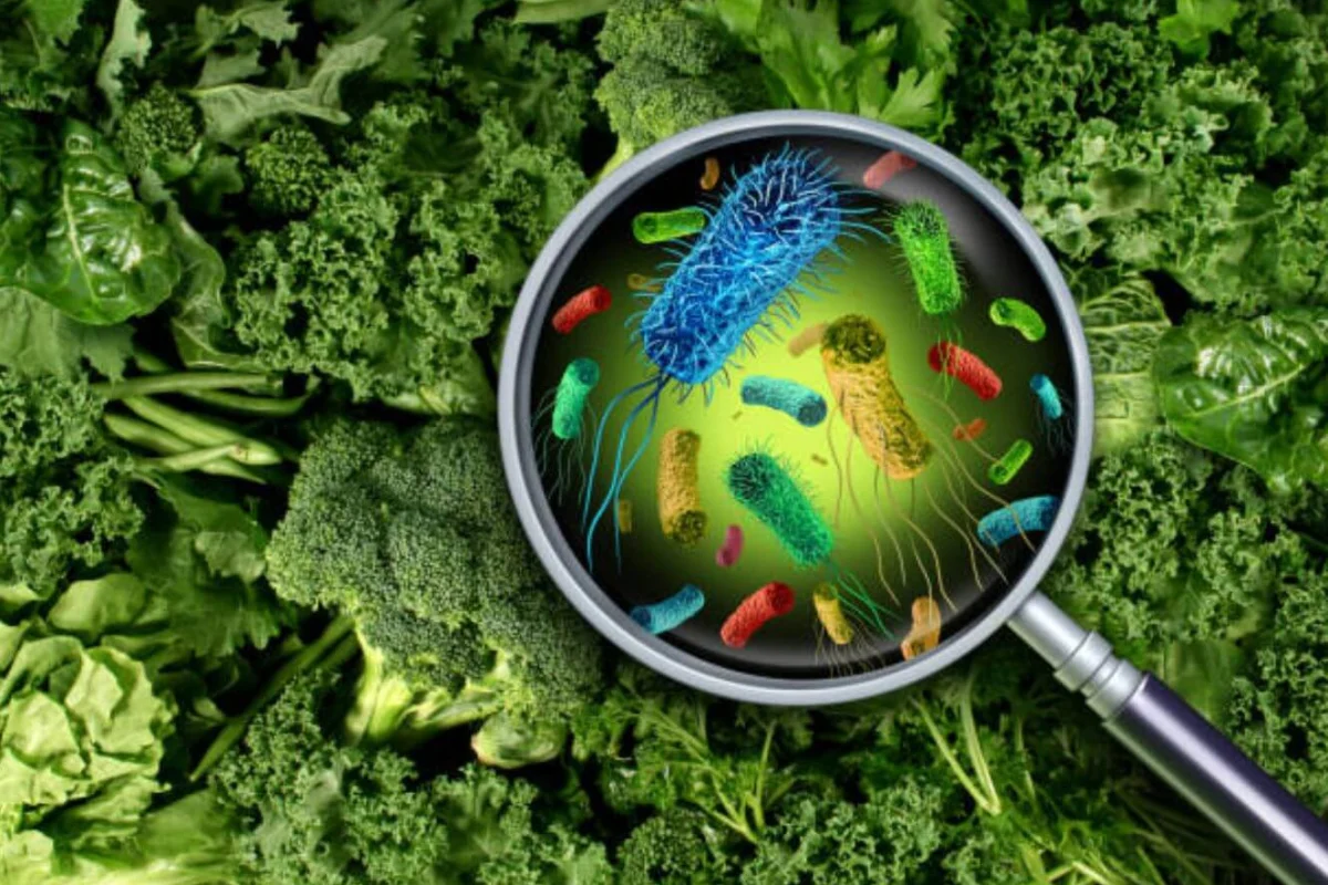 ONU estima que 1.6 millones de personas enferman al día por comida contaminada
