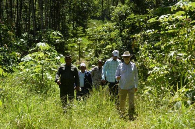 Medio Ambiente presentará cargos contra desaprensivos depredaban Loma Novillero
