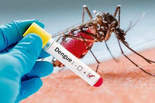 Aumentan casos de dengue: 3,236 sospechas registradas a nivel nacional