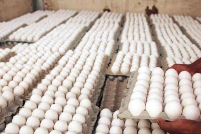Agricultura anuncia compra ilimitada de huevos a avicultores