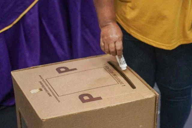 Mas del 80%: PLD espera alta asistencia de los delegados a votar este domingo