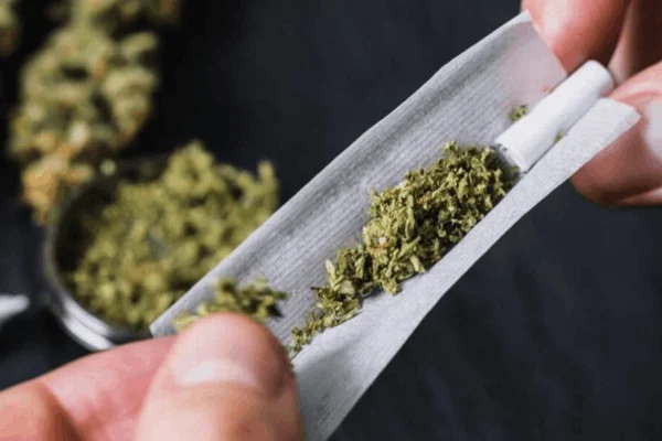 Alemania aprueba ley histórica para la posesión de marihuana