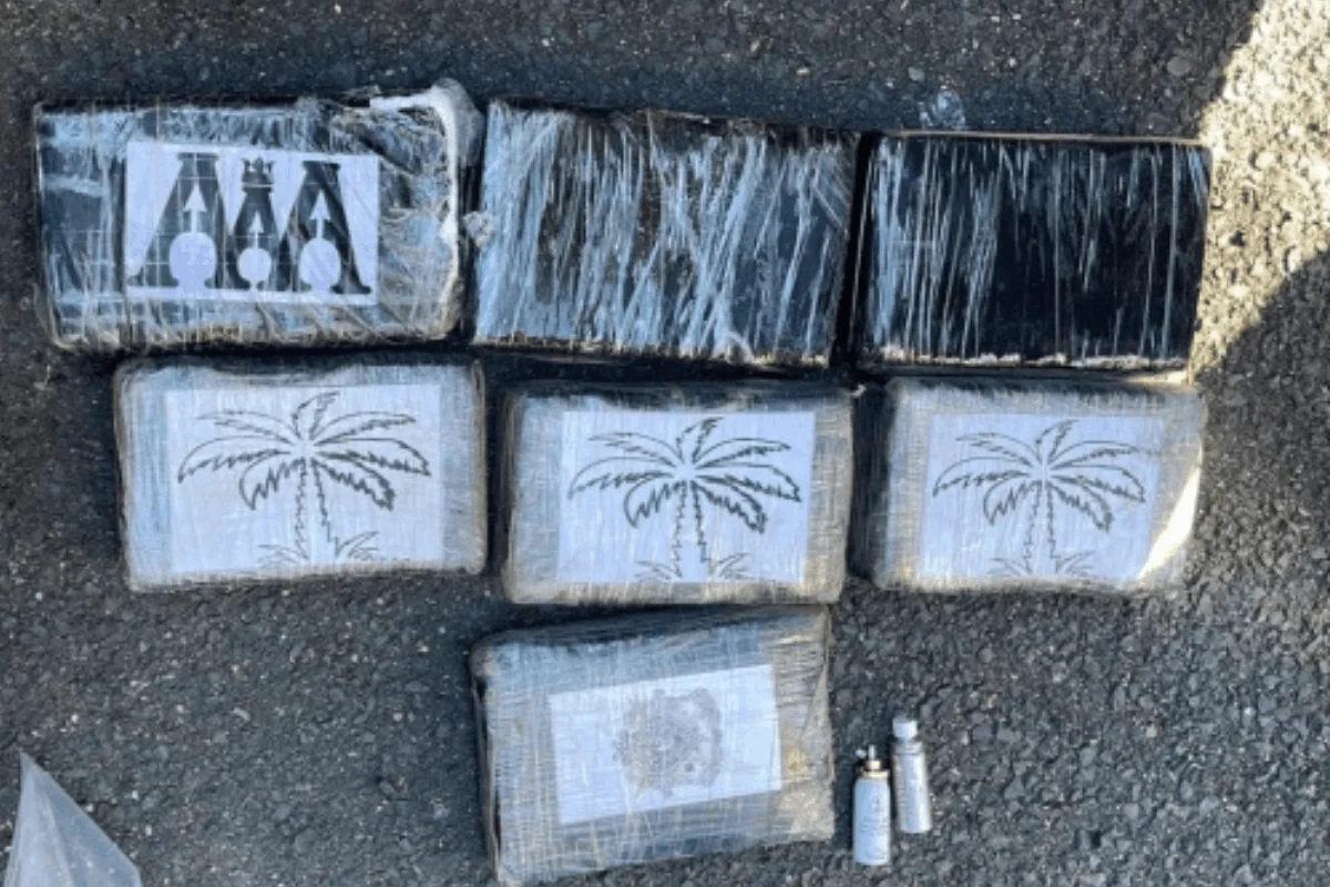 Arrestan cuatro personas con 7,000 gramos presumiblemente cocaína en SDE