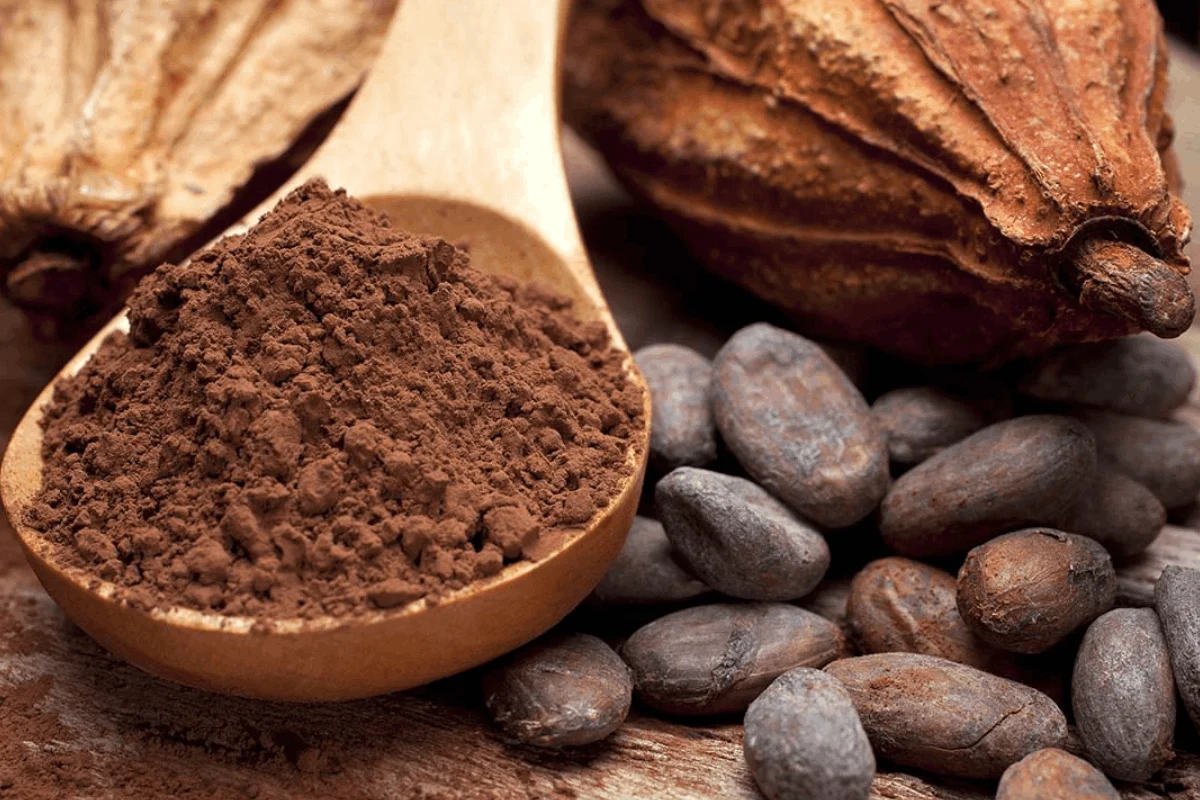 El cacao dominicano gana terreno en mercados internacionales; rompe récord en exportación
