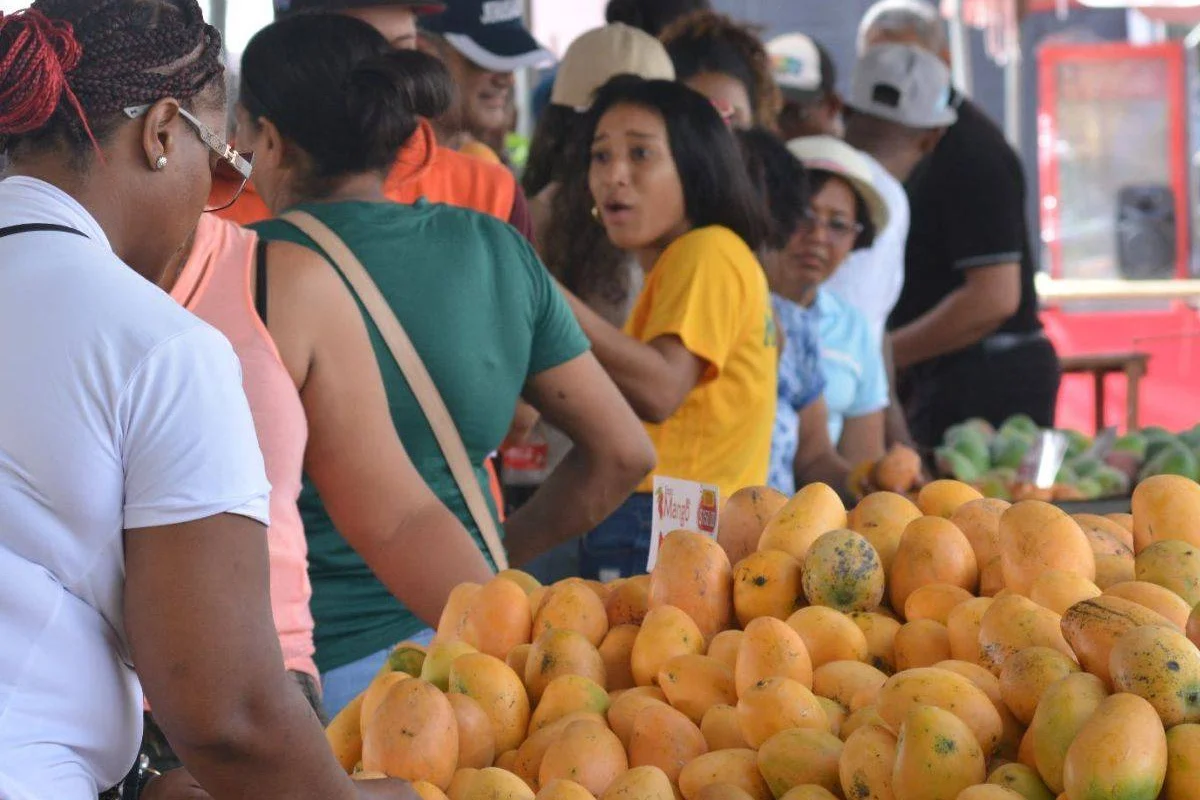 Baní recibe miles de visitantes por Feria Expo Mango 2024