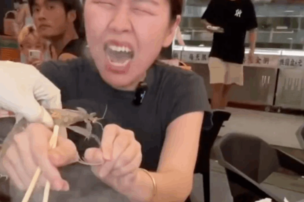 Camarón se niega a ser parte del menú y muerde a mujer que intentaba comerlo