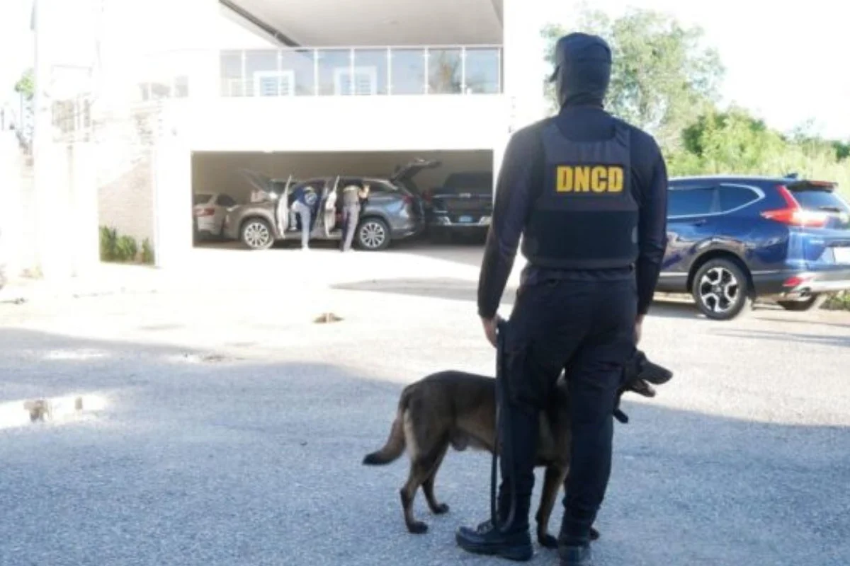 Operación Búfalo
