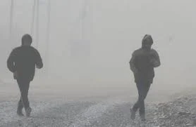 Tormentas devastadora en São Paulo: Al menos siete muertos y vientos récord de 107,6 km/h