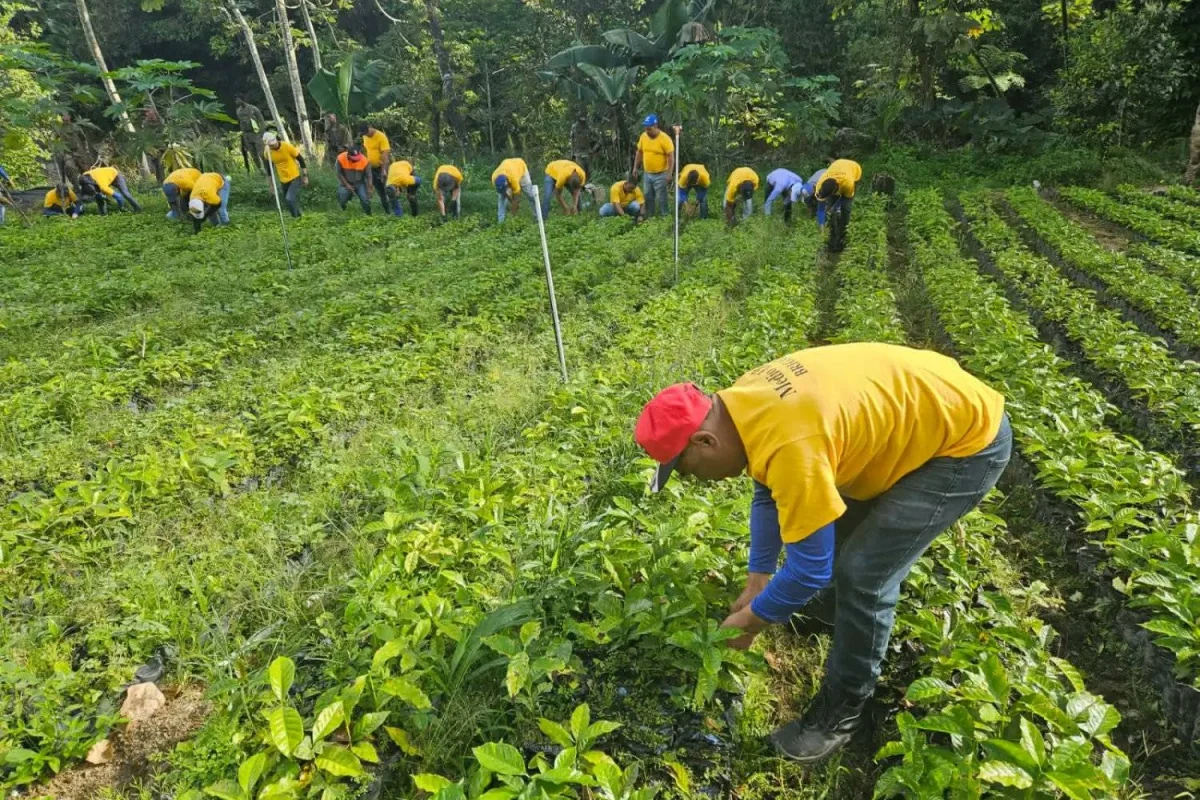 Privados de libertad siembran 3,000 árboles en apoyo a la reforestación