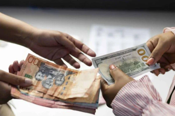 Tasa de cambio del dólar cierra el 2024 con promedio de RD$61.32 y proyecta una subida para los próximos años