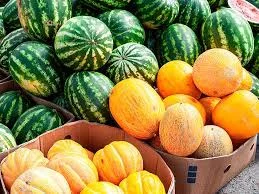 RD exporta US$2.5 millones de melones y sandías cada año