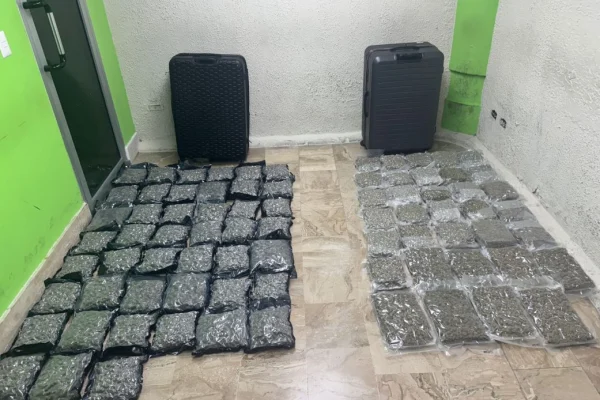 Incautan dos maletas con 79 paquetes de marihuana en aeropuerto de Punta Cana