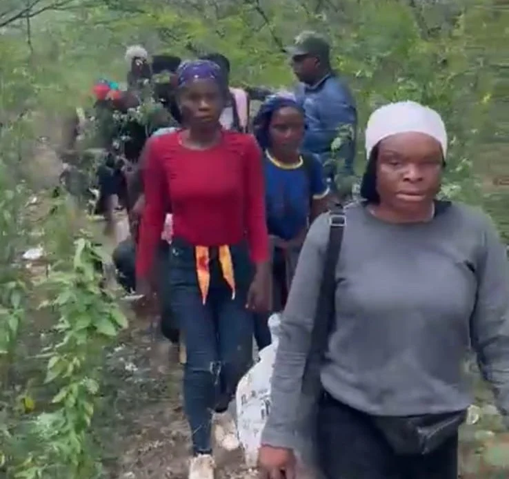Capturan ocho haitianos ilegales en una zona rural de Santiago Rodríguez