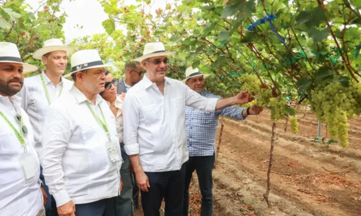 Abinader suspende viaje a Moca por recomendación de la Fuerza Aérea
