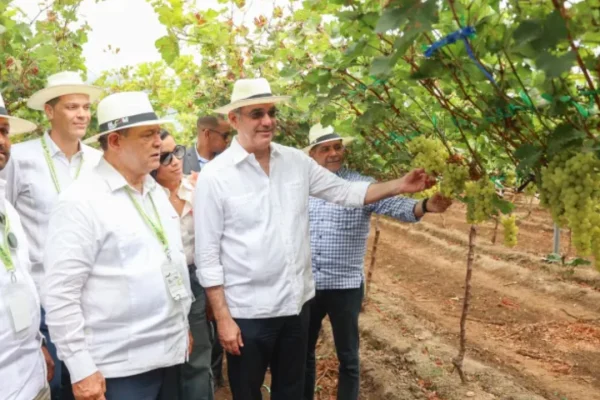 Abinader suspende viaje a Moca por recomendación de la Fuerza Aérea