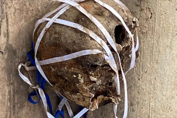 Encuentran cráneo humano cerca de santuario en Bayaguana