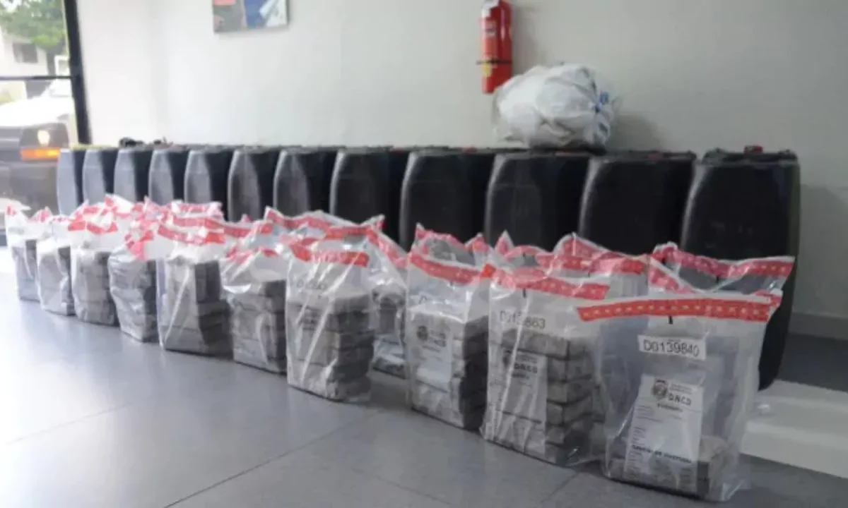 Incautan 1,200 gramos de cocaína y otras sustancias durante operativos en Barahona