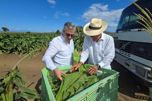 Tabaco dominicano llega a 148 países, según Intabaco
