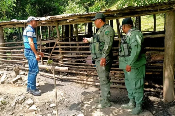 SENPA y Medio Ambiente clausuran criadero de cerdos ilegal de cerdos en La Vega