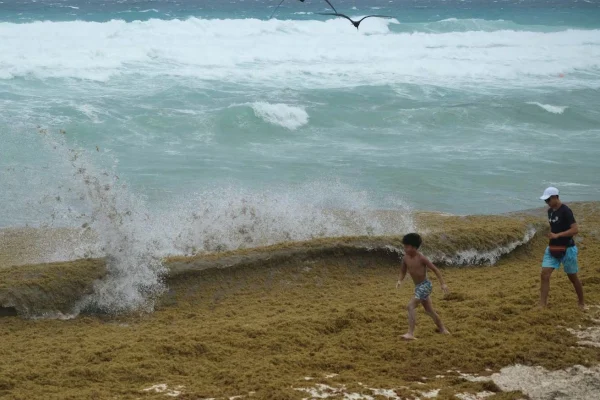 El Caribe enfrenta oleada masiva de sargazo: más de 38 millones de toneladas invaden sus aguas