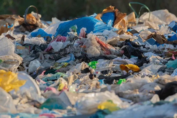 ONU llama a asumir responsabilidad en la tarea de acabar con la contaminación por plástico