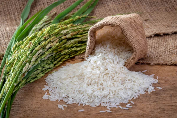 Fuerza del Pueblo pide al Gobierno detener importaciones de arroz en lo que resta de 2025
