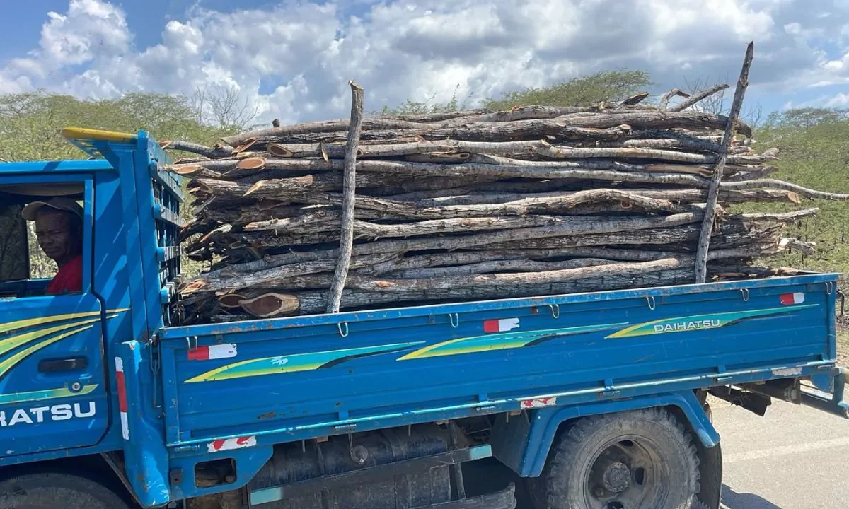 Detienen hombre en camión cargado de madera sin documentación legal en Montecristi
