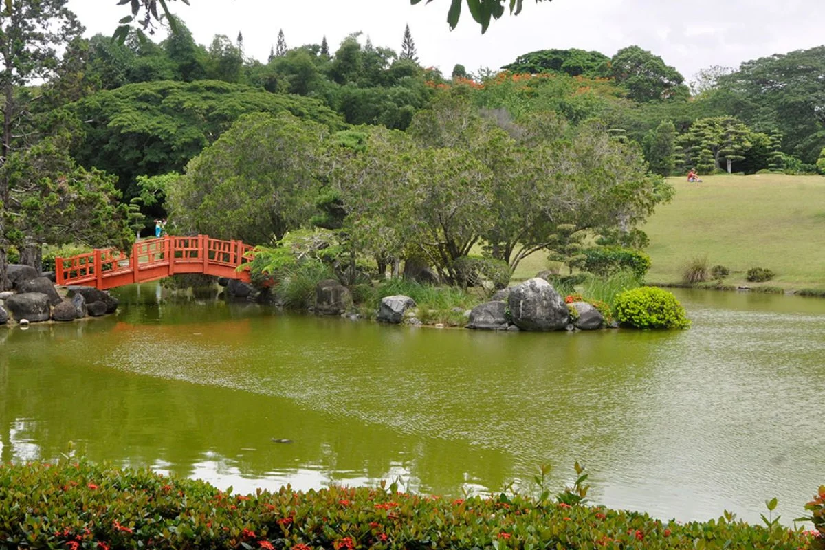 Medio Ambiente defiende proyecto vial cerca del Jardín Botánico: impactó sería del 0.01%