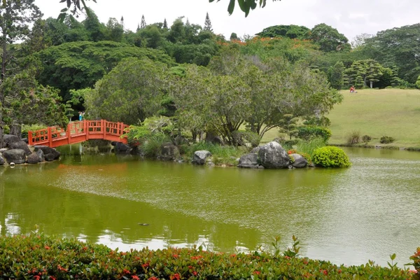 Medio Ambiente defiende proyecto vial cerca del Jardín Botánico: impactó sería del 0.01%