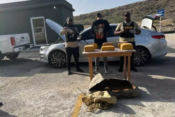 Ocupan 140 paquetes de marihuana en operaciones de interdicción ejecutadas en el AILA y Barahona