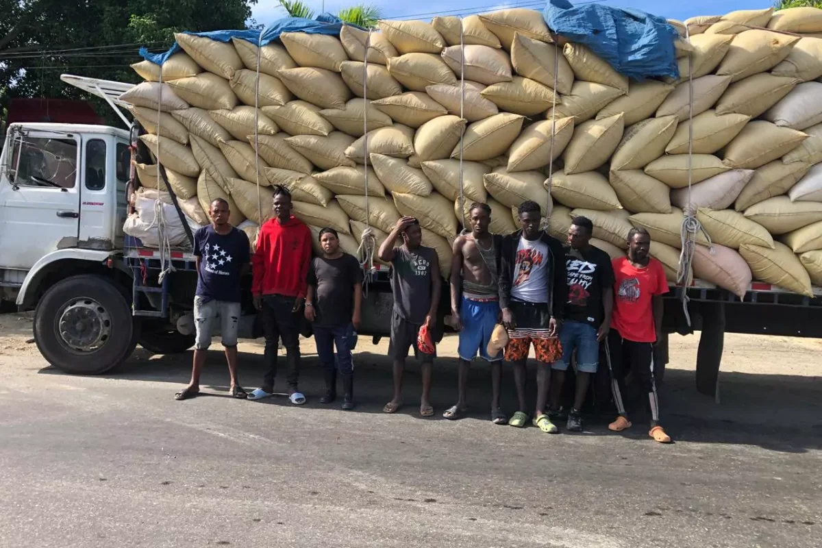 Detienen camión con haitianos indocumentados ocultos entre sacos de paja de arroz