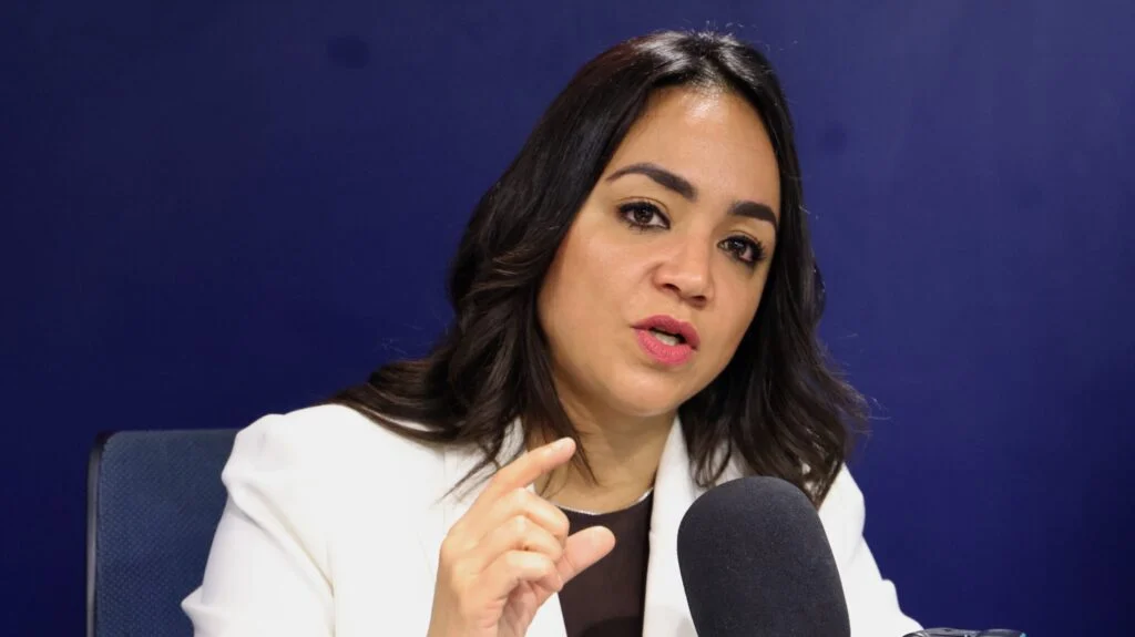Faride Raful dice que detrás de las difamaciones en su contra podría haber una estructura dentro del PRM