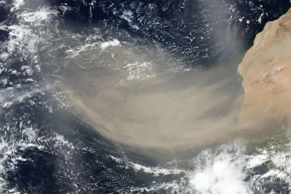 Nube sahariana incrementará alergias respiratorias y la sensación térmica en el país