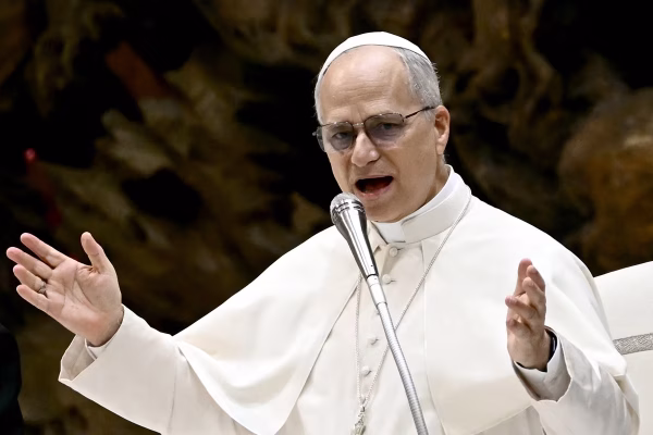 El papa pide que cese el uso indiscriminado de la fuerza y el desplazamiento forzado en Gaza