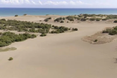 La Armada duplica su presencia en las Dunas de Baní para protegerlas de los depredadores