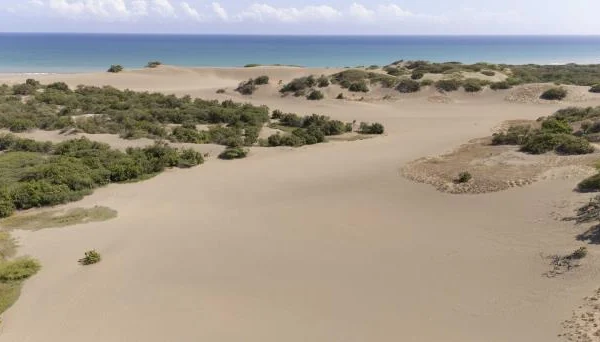 La Armada duplica su presencia en las Dunas de Baní para protegerlas de los depredadores