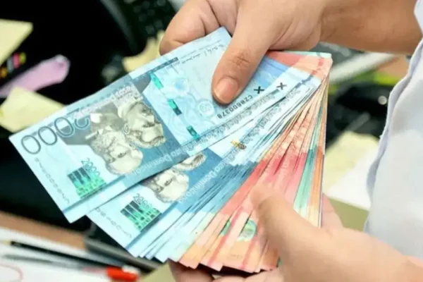 Carlos Peña propone usar fondos de partidos para indexar salarios de trabajadores