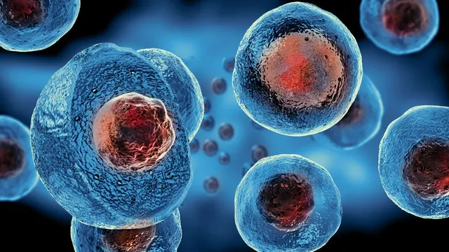 Una terapia experimental logra rejuvenecer las células madre de la sangre