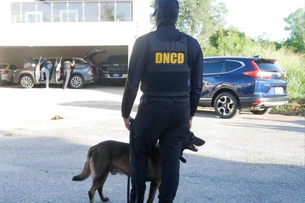 DNCD incrementa personal y unidades caninas en puertos y aeropuertos por Navidades