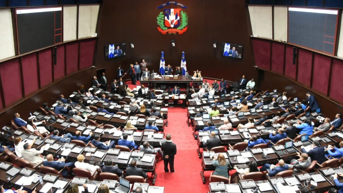 Diputados aprueban en segunda lectura el proyecto de ley orgánica que crea la DNI