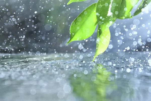 Vaguada provocará lluvias y tronadas este viernes
